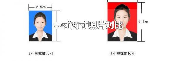 一寸两寸照片对比