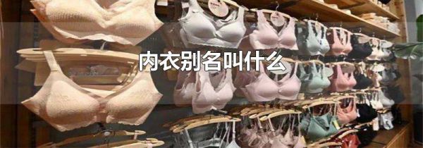内衣别名叫什么