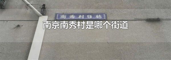 南京南秀村是哪个街道