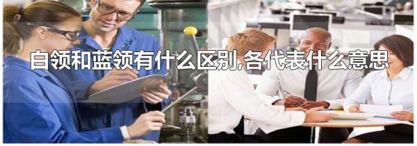 白领和蓝领有什么区别,各代表什么意思
