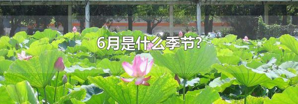 6月是什么季节?