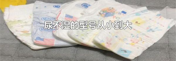 尿不湿的型号从小到大