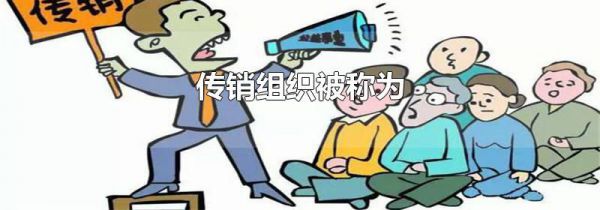传销组织被称为