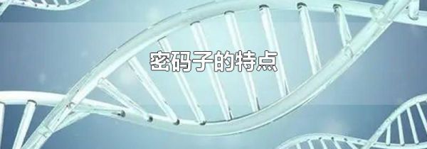 密码子的特点