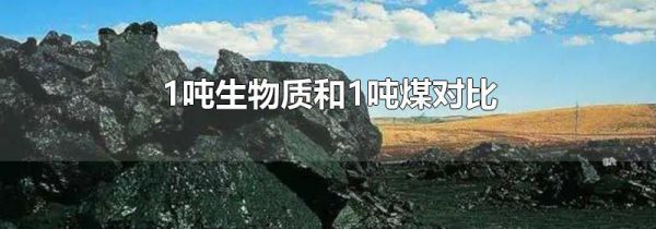 1吨生物质和1吨煤对比