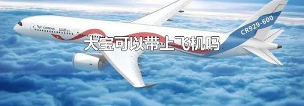 大宝可以带上飞机吗