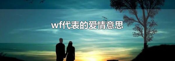 wf代表的爱情意思