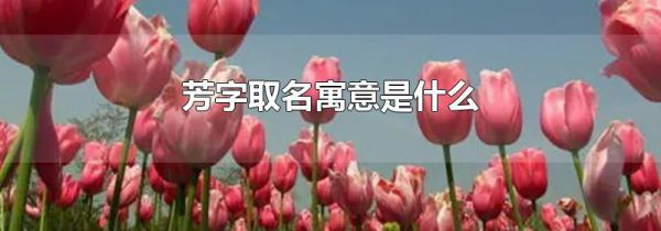 芳字取名寓意是什么