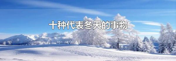 十种代表冬天的事物
