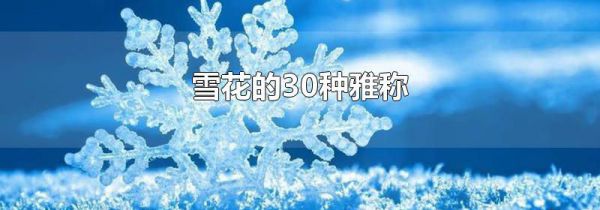 雪花的30种雅称
