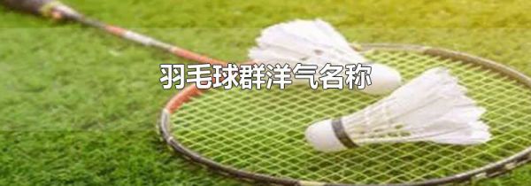 羽毛球群洋气名称