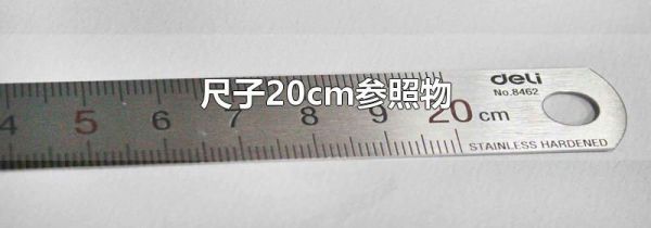 尺子20cm参照物