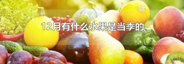 12月有什么水果是当季的