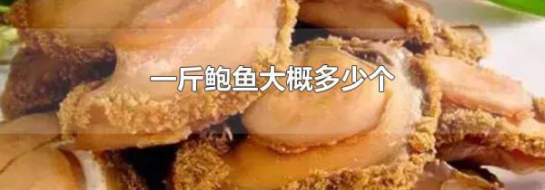 一斤鲍鱼大概多少个