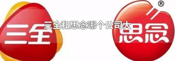 三全和思念哪个公司大