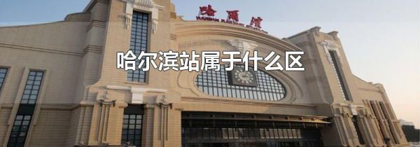 哈尔滨站属于什么区
