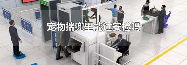 宠物揣兜里能过安检吗