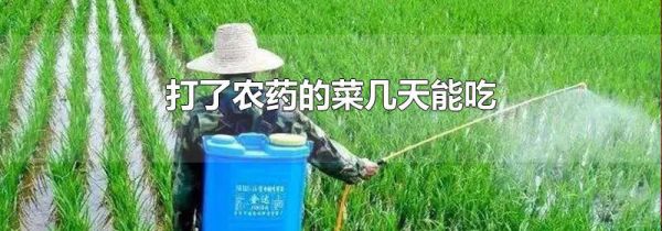 打了农药的菜几天能吃