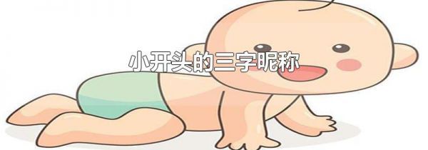 小开头的三字昵称