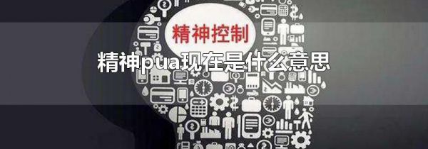 精神pua现在是什么意思