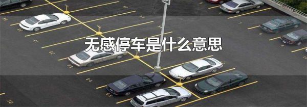 无感停车是什么意思