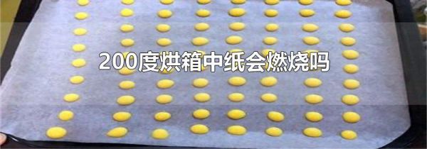 200度烘箱中纸会燃烧吗