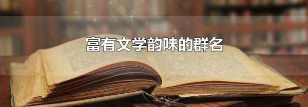 富有文学韵味的群名