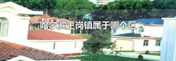 哈尔滨王岗镇属于哪个区