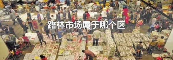 路林市场属于哪个区