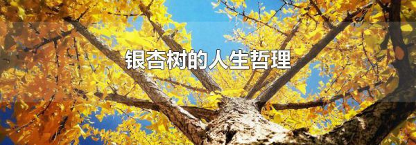 银杏树的人生哲理