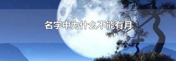 名字中为什么不能有月