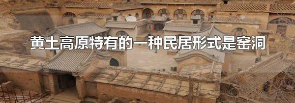黄土高原特有的一种民居形式是窑洞