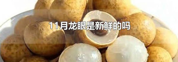11月龙眼是新鲜的吗