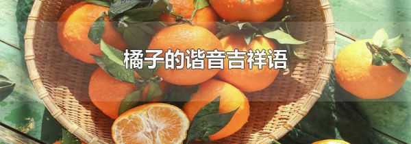 橘子的谐音吉祥语