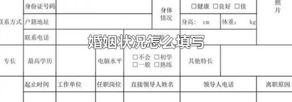 婚姻状况怎么填写