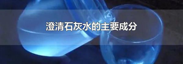 澄清石灰水的主要成分