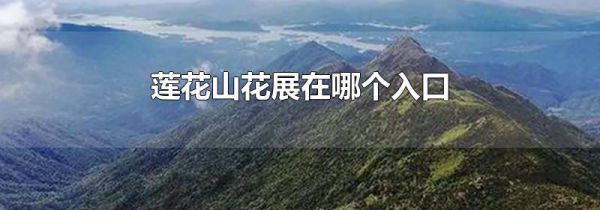 莲花山花展在哪个入口