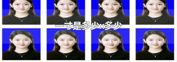 一寸是多少x多少