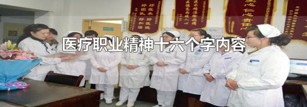 医疗职业精神十六个字内容
