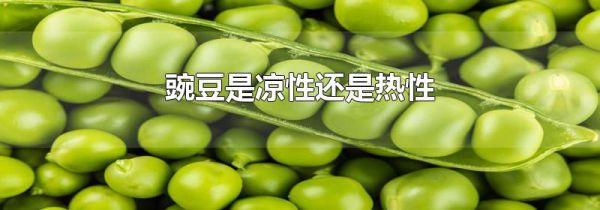 豌豆是凉性还是热性