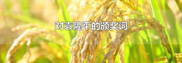 对袁隆平的颁奖词