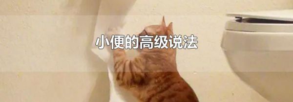 小便的高级说法