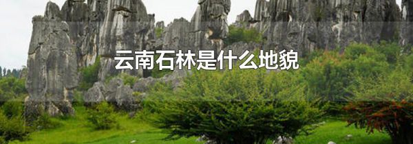 云南石林是什么地貌
