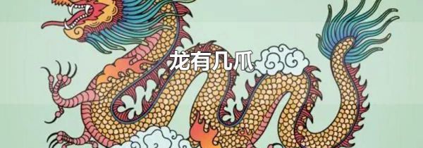 龙有几爪