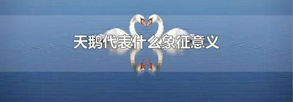 天鹅代表什么象征意义