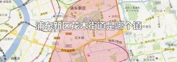 浦东新区花木街道是哪个镇