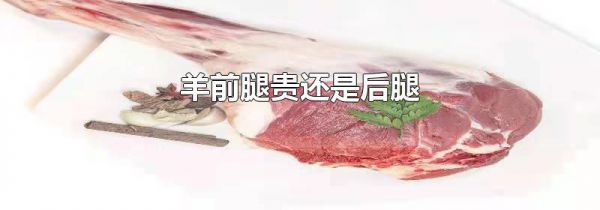 羊前腿贵还是后腿