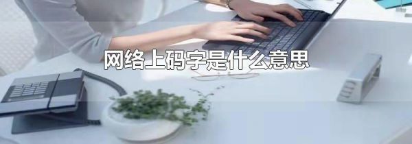 网络上码字是什么意思