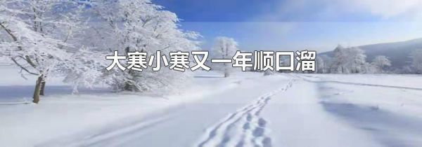 大寒小寒又一年顺口溜