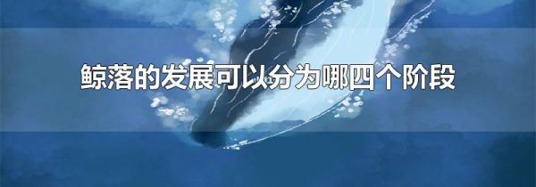 鲸落的发展可以分为哪四个阶段